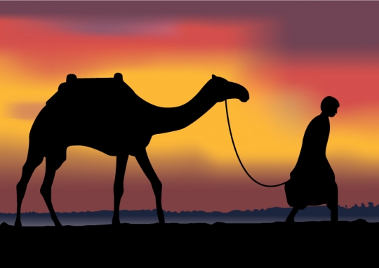A silhoutte of a dromedary and bedouin