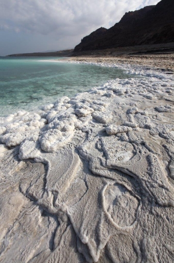 Dead sea shore