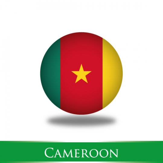 cameroon flag