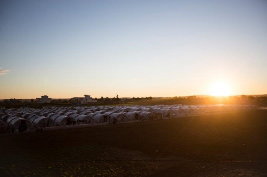 Sun Setting on Kobane Refugees Camp