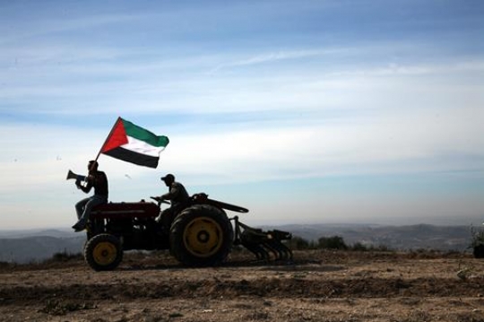 palestinian military