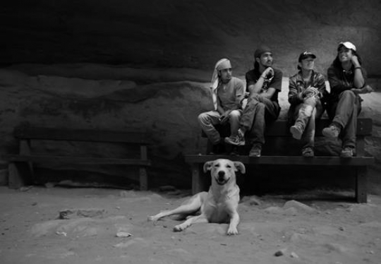 black and white image for bedouin in petra,jordan
