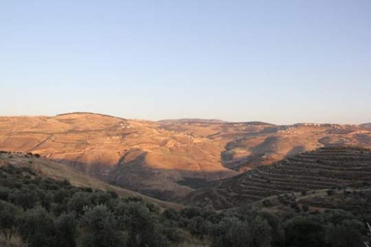 Fields in Jordan