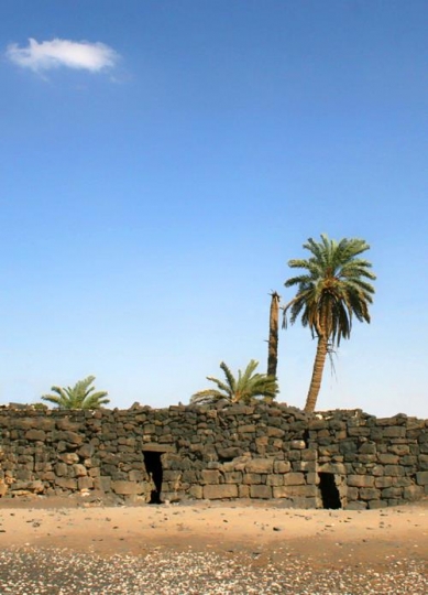 azraq castle and Palms around