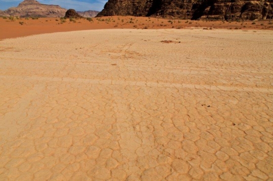 drought in the desert