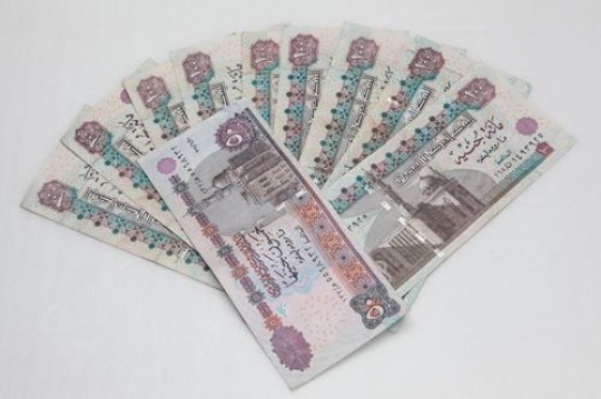 bunch of egyptian currency notes