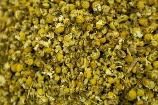 Camomile