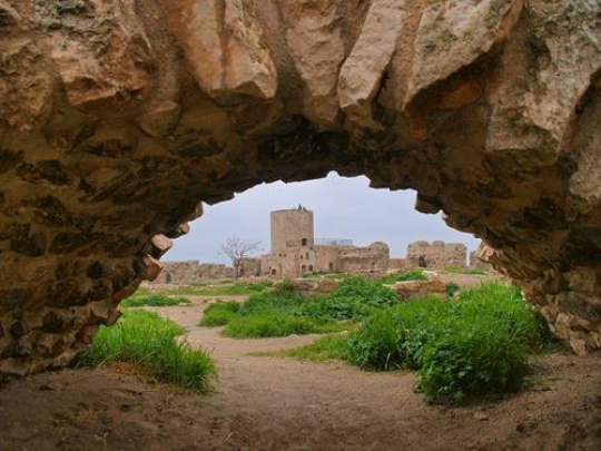 aleppo castle seen through an arc