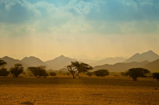 desert scene in layers