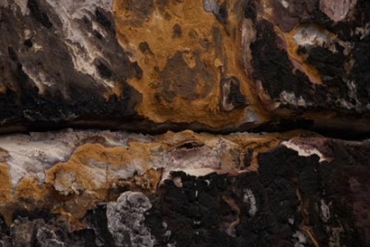 abstract colorful patterns in sandstone wall of petra