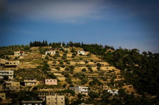 beauty nature in dibeen forest