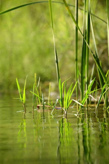 Nature Beauty in Lebanon
