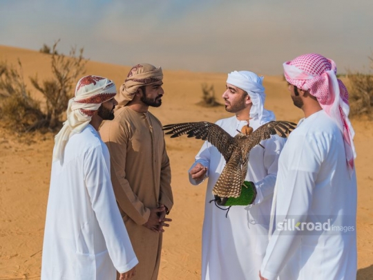 Man talking to friends about falcon