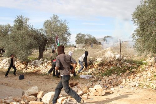 Palestinian youth fighting