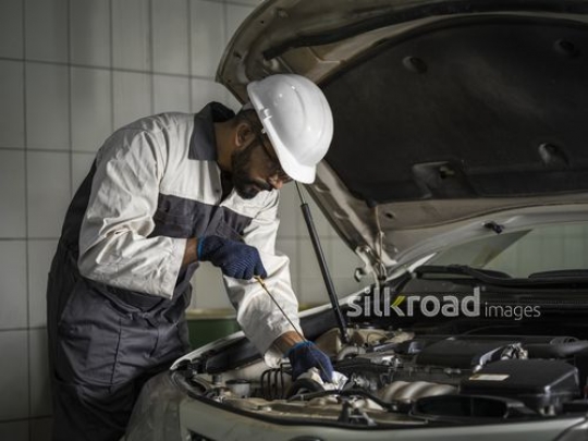 Worker checking the oil of the car|-