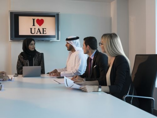 Businessmen and Business women during a meeting in a conference room|-