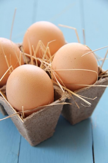 eggs cardboard