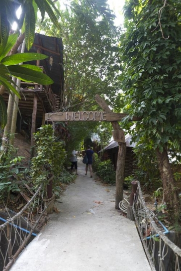 welcome sign on a club in the jungle