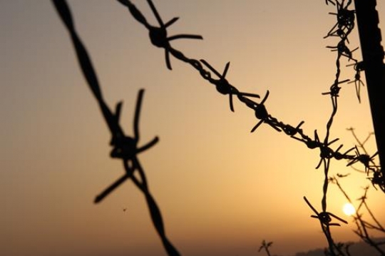 sunset and barbed wire