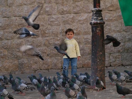 boy standing with pigeons