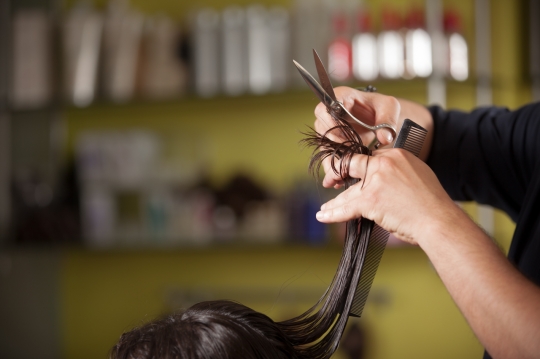Hairstylist cutting the woman's hair|
