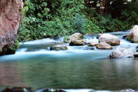 Amazing Nature in Lebanon