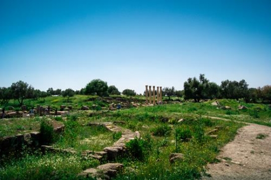 umm qais,gadara city north-west of Jordan
