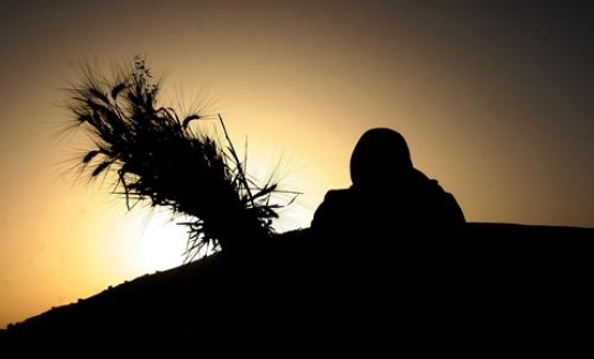 woman holding wheat spikes