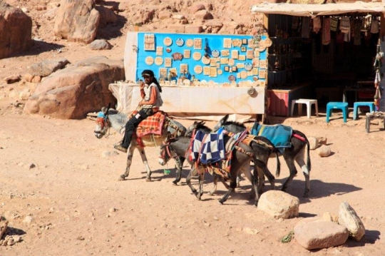 man riding donkey in the deser