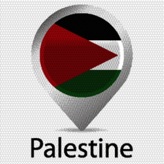 Palestine Flag