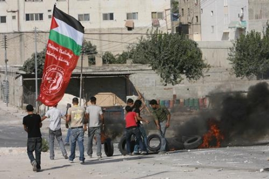 Palestinian resistance