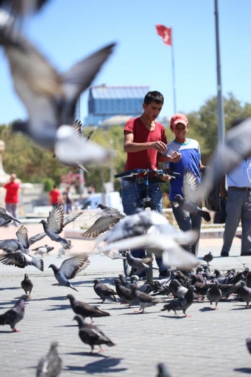 the monument of the republic o
