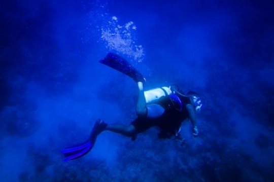 scuba driver swims in aqaba,Jordan