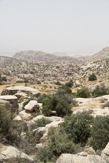 wadi mujib in Jordan