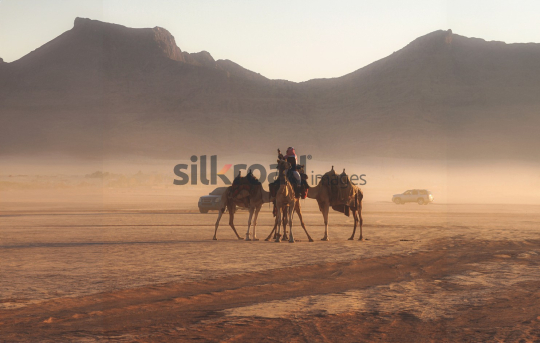 Camel Rider in Wadi Rum Desert with Jeep at Sunrise