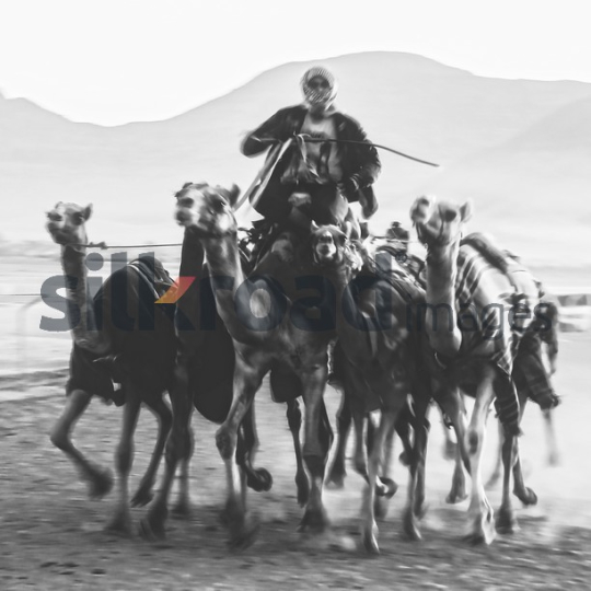 Camel Riders in Motion - Black and White Desert Scene