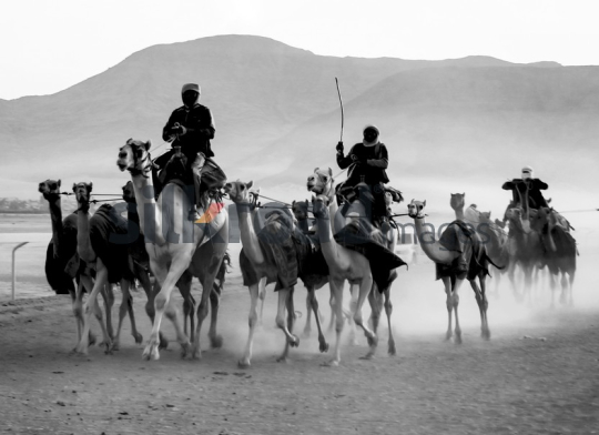 Camel Riders in the Desert - Black and White Photograph