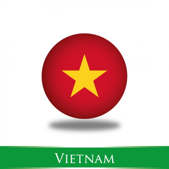 Vietnam flag