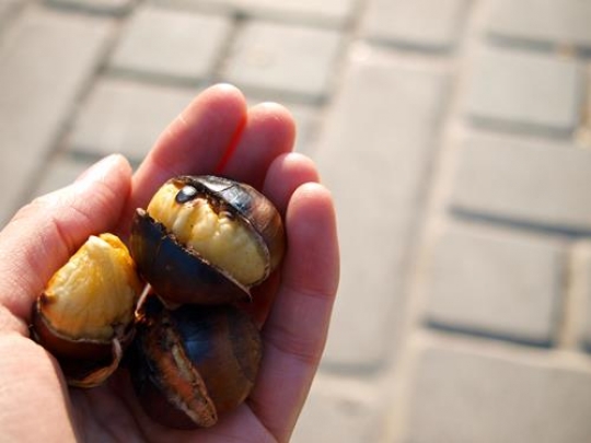 Chestnuts