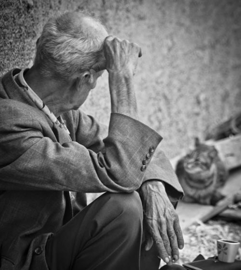 senior man sitting in a street and looking at a cat