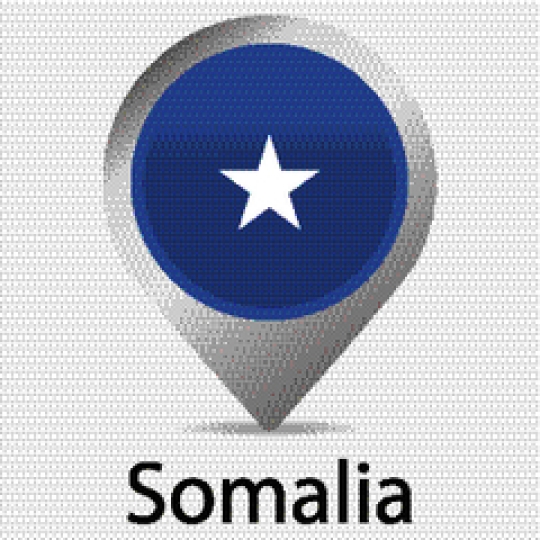 Somalia flag