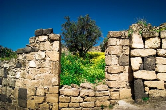 umm qais,gadara city north-west of Jordan