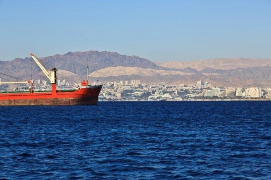 cargo ship in the sea