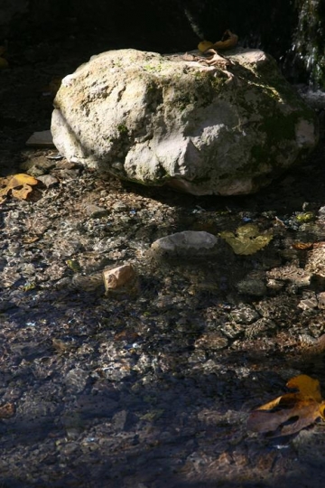nature