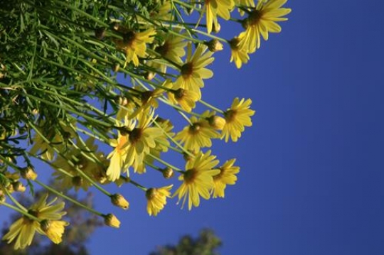 dbc1b7c5-8fe2-41c1-bbc5-ec98613cab31