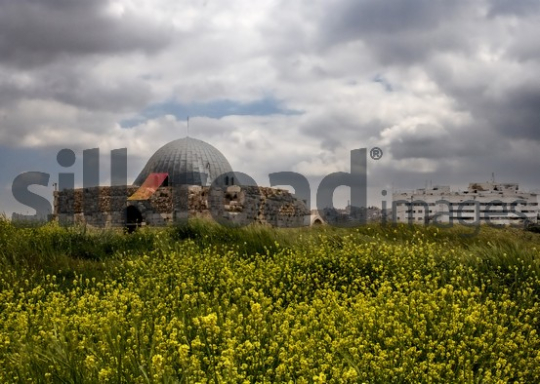 Dome of the Amman Citadel with Yellow Wildflowers