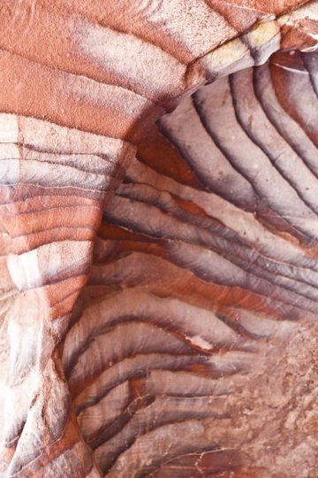 sandstone gorge formation,rose