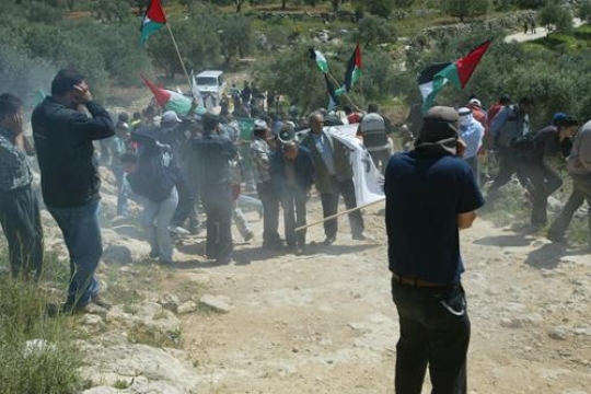 Palestinians demonstrate against confiscate lands