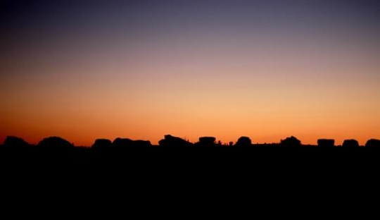 vector city silhouette at sunset