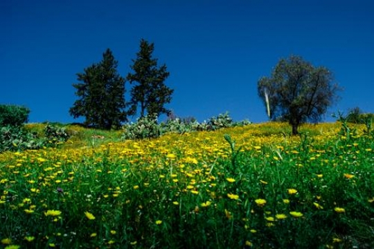 umm qais,gadara city north-west of Jordan